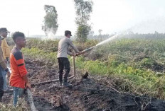 Upaya Pemadaman Karhutla di Pedamaran Timur, Dua Helikopter Lakukan 30 Kali Waterbombing