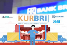 Pengajuan KUR BRI 2025 Ditolak? Tips Jitu Agar Disetujui dan Cepat Cair