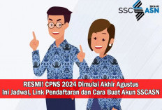 RESMI! CPNS 2024 Dimulai Akhir Agustus, Ini Jadwal, Link Pendaftaran dan Cara Buat Akun SSCASN