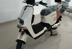 Ofero Stareer Max: Sepeda Listrik Berdesain Sporty dengan Akselerasi Cepat, Siap Saingi Kinerja Motor Listrik