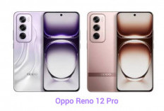 Oppo Reno 12 Pro Ponsel Canggih Tahan Debu dan Percikan Air Berkat Sertifikasi IP65 Dibalut Layar Luas