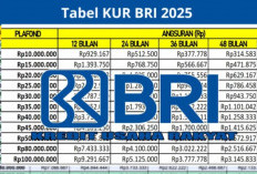 Syarat dan Tabel Angsuran KUR BRI 2025, Lengkap dengan Cara Pengajuannya