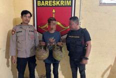 Polisi Amankan Pencuri Tabung Gas di Puskesmas Pembantu SP Padang OKI