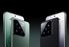Bocoran Spesifikasi Xiaomi 15: Kamera Memukau & Snapdragon 8 Gen 4, Bakal Meluncur Oktober 2024 Mendatang! 
