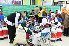 Jemaah Haji Lansia & Disabilitas Bisa Gunakan Jasa Pendorong Kursi Roda dari Masjidil Haram, Bayar 250 Riyal! 