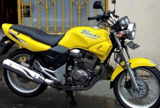 Spesifikasi Honda Tiger 2000: Kembali Bernostalgia dengan Motor Idamannya Generasi 90-an! 