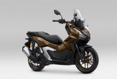 New Honda ADV160 Resmi Rilis, Makin Gagah dengan Pilihan Warna Premium 