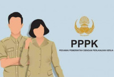 2026 PPPK Akhirnya Bisa Jadi PNS Tanpa Ujian? Simak Rencana DPR Terbaru!