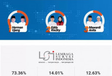 Hitung Cepat Pilkada Sumsel 2024, HDCU Dominasi Suara di Beberapa TPS OKI