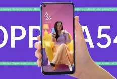 Harga OPPO A54 Semakin Murah, HP Entry Level Punya Kamera AI 50 MP, Apakah Masih Layak Beli Tahun Ini?