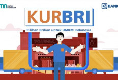 Cara Ampuh Agar Pengajuan KUR BRI 2024 Cepat Diproses dan Cair dalam 5 Menit