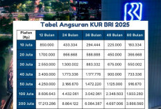 Pengajuan KUR BRI 2025 Sekarang Bisa Secara online! Ini Cara Mudah dan Tips Lolos Survei Pinjaman Bank