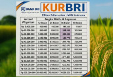 Pengajuan KUR BRI 2025 Kini Lebih Mudah, Cek Simulasi Cicilan Mulai dari Rp1,9 Jutaan