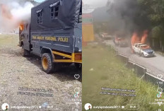 Pasca 3 Warga Diduga Simpatisan OPM Ditembak, Puncak Jaya Memanas Aksi Bakar Mobil TNI-Polri Terekam