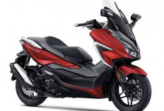 Spesifikasi dan Harga Honda Forza 250, Usung Spek Mumpuni dan Fitur Canggih!