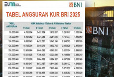 Simak Syarat Lengkap Pengajuan KUR BNI 2025: E-KTP, Usaha Aktif 6 Bulan, Tanpa Ribet!