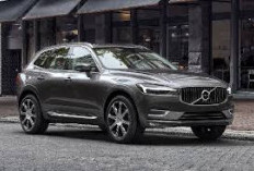 Volvo XC60 2025 Tawarkan Pengisian Daya Nirkabel, Kabin Mewah dan Teknologi Canggih Jadi Andalan
