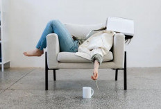 Ramalan Zodiak Hari Ini 4 Desember 2025: Siapa yang Beruntung, Siapa yang Perlu Waspada?