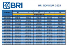 Ini Syarat dan Tabel Cicilan Pinjaman Non KUR BRI 2025 yang Wajib Kamu Tahu, Cair Rp500 Juta Tanpa Ribet!