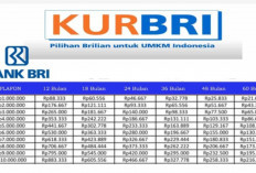 Cara Daftar KUR BRI Online Terbaru