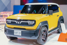 VinFast VF 3 Tampil Warna Warni, Mini SUV Listrik yang Didesain untuk Kota Masa Kini, Ini Spesifikasinya!