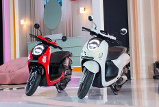 Honda Scoopy Tampil Makin Gaya! Ini Pilihan Warna Terbaru yang Sesuai Karakter Kamu
