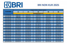 Mau Ajukan Pinjaman Non KUR BRI 2025? Ini Syarat dan Dokumen yang Harus Kamu Siapkan