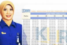 Kabar Baik untuk UMKM! KUR BRI 2025 Tanpa Agunan Resmi Dibuka, Ini Syaratnya