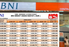 Mau Ajukan KUR BNI 2025? Ini Syarat dan Skema Pembiayaan Terbarunya