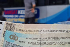 Kendaraan Ini Bebas Dari Pajak dan Bea Balik Nama, Apakah Kendaraan Anda Termasuk?