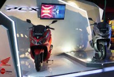 Daftar Harga Honda PCX Bekas Terbaru