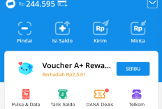 Cara Praktis Dapat Saldo DANA Gratis Rp250 Ribu, Hanya dengan Kunjungi Website Ini