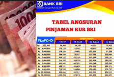 KUR BRI 2025: Pinjaman Tanpa Agunan untuk UMKM dengan Proses Cepat