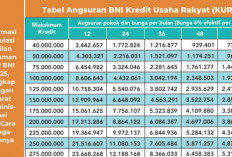 Tanpa Ribet! Ini Cara Mudah dan Syarat Lengkap Ajukan KUR BNI 2025