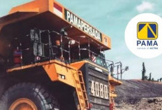 Fresh Graduate Merapat! PAMA Tawarkan 2 Posisi di Program Pengembangan 2025