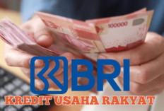 Top-Up KUR BRI 2025 Resmi Diluncurkan: Tambahan Modal Usaha Kini Lebih Cepat dan Praktis