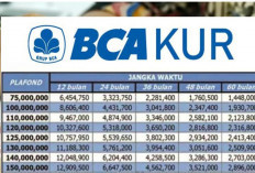 Panduan Lengkap Pinjaman KUR BCA 2024, Plafon Hingga Rp100 Juta dengan Cicilan Sejutaan Saja