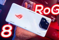 Cek Harga Terbaru Flagship Gaming Asus Rog Phone 8, Jadi Lebih Murah?  