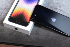 Alasan iPhone SE 3 Masih Jadi Incaran, Smartphone Kecil Apple Spesifikasi Gahar