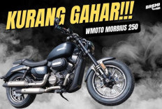 Inilah Spesifikasi dan Keunggulan WMoto Morbius 250, Motor V-Twin Bergaya Klasik  dengan Harga yang Terjakau!