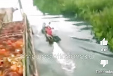 Video Pembajakan Kapal Tongkang Kelapa Sawit Viral, Polisi Lakukan Penyelidikan