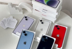 7 Rekomendasi iPhone yang Masih Worth It Dibeli di Tahun 2024, Harga Jauh Lebih Murah!
