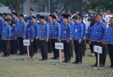 Tahun Depan, Gaji ASN Bakal Naik Lagi, Berapa Besarannya? 