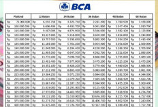 Manfaatkan Kesempatan Pinjaman KUR BCA 2024 Hingga Rp150 Juta dengan Tenor Hingga 5 Tahun