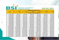  Anti Ribet! Ini Cara Daftar KUR BSI 2025, Dana Cair dalam Sekejap, Ini Syarat dan Panduan Lengnkapnya