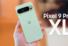 Google Pixel 9 Pro XL Resmi Meluncur: Smartphone Masa Depan dengan Sensor G4 dan Titan M2