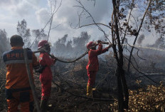 Pemadaman Karhutla Berlanjut, Personel Gabungan Mopping Up di Desa Simpang Tiga Tulung Selapan