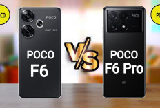 Adu Spek Poco F6 vs Poco F6 Pro: Sama-Sama Gahar, Mana yang Lebih Worth It Dibeli?