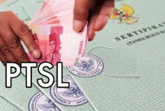 Dalami Penyidikan Baru Kasus Korupsi PTSL BPN Kota Palembang Tahun 2019, 4 Saksi Diperiksa Kejari