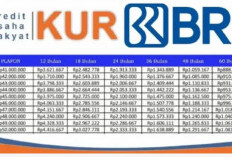 Simulasi Tabel Angsuran Pinjaman Cicilan KUR BRI 2025 Rp50 Juta Langsung Cair Tenor 3-5 Tahun